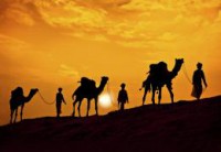 /album/desert-ecosystem/eyn-desert-webquest-jpg/