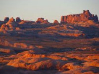 /album/desert-ecosystem/images-3-jpeg/